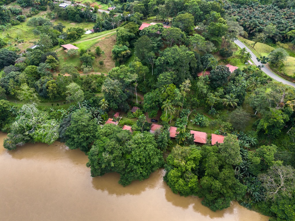 Aerial view 3