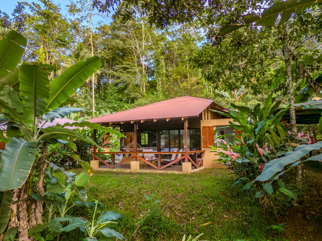 Bungalo Queen (Interior)