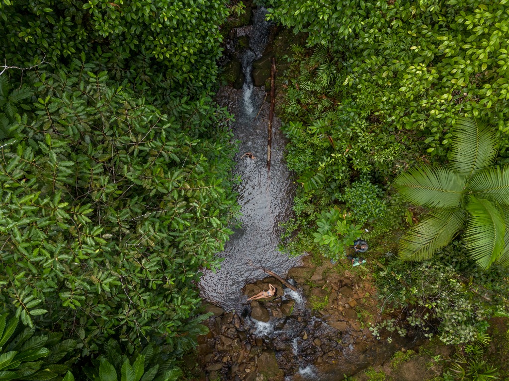 Guided Nature Hike (Day or Night)