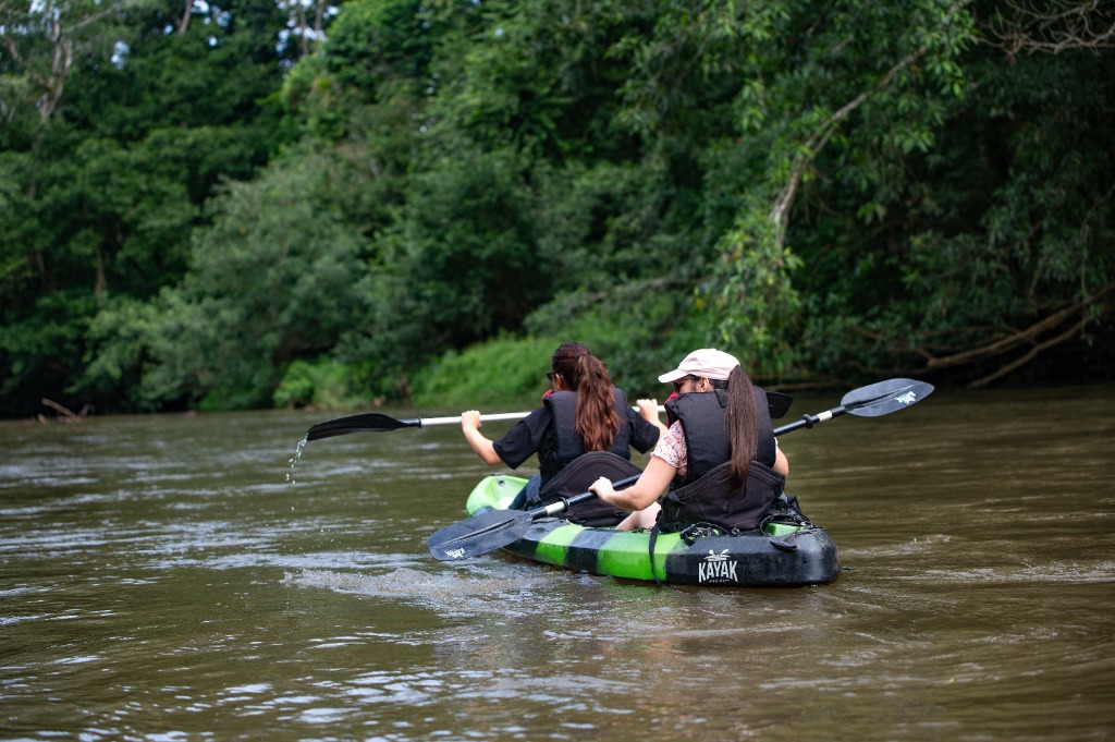 Kayak Safari Tour